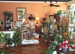 We offer a large variety of flowers plants and gifts